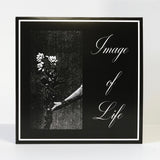 Image Of Life ‎– Attended By Silence (vinyl LP)